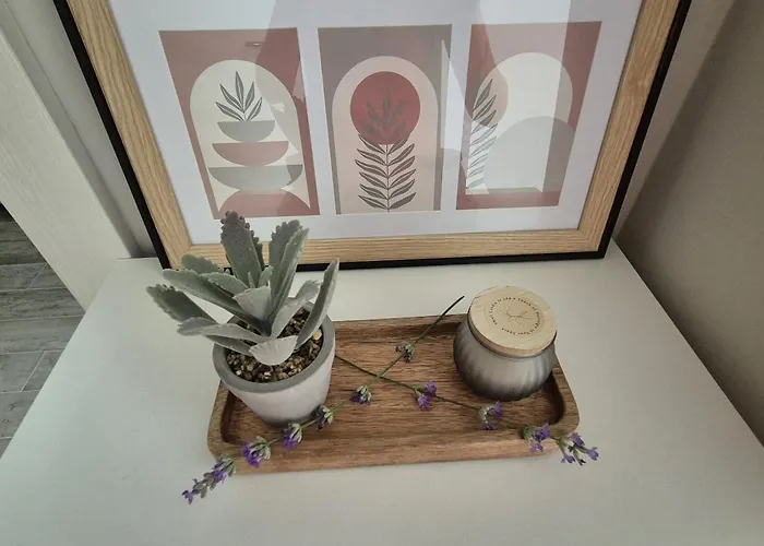 Palaz コンスタンツァ